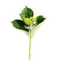 Mini Green